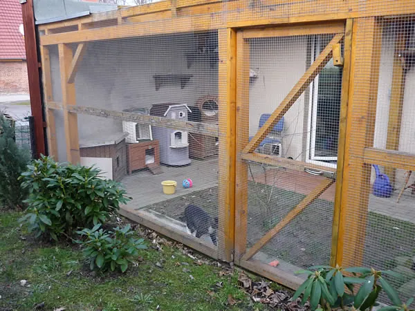 Außenbereich für Katzen
